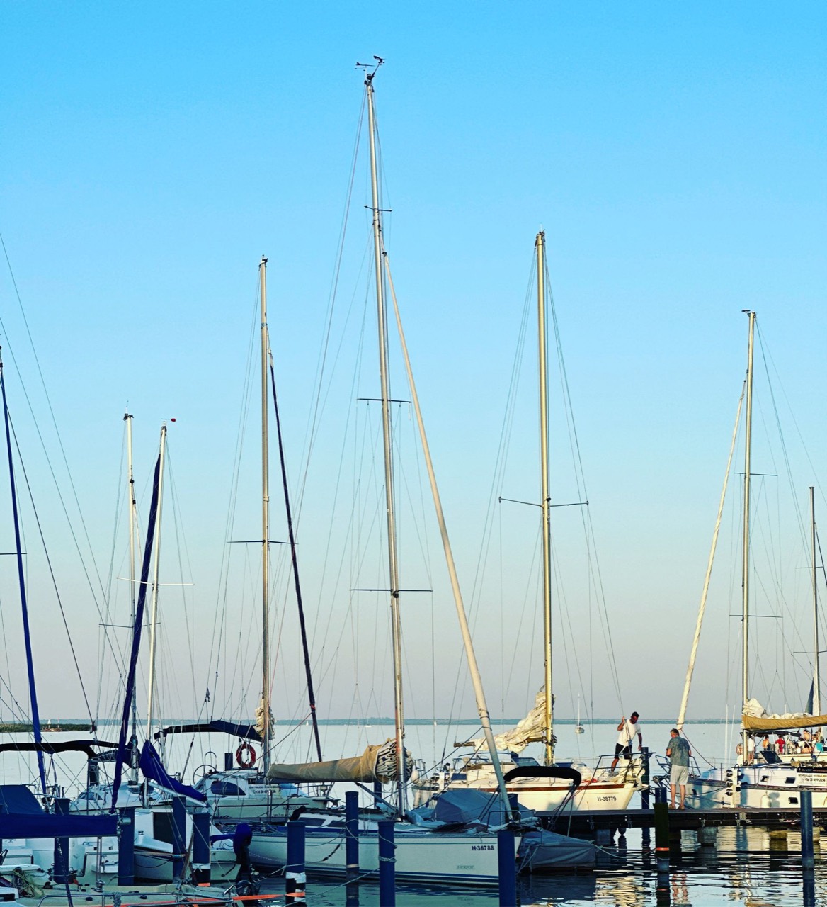 Próbáld ki a legjobb kalandot, amíg a Balatonon jársz!
